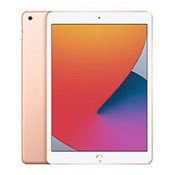 for Apple iPad 10.2 8th / 7th Gen (2021 / 2020 / 2019)